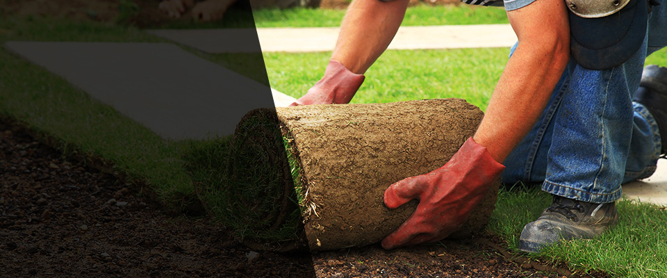 Secaucus Landscapers